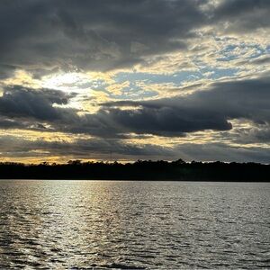 Meet your Posher, Evelyn